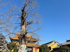 -圆通寺
