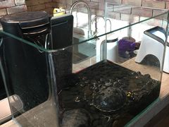 -北武堂拳击散打搏击泰拳俱乐部(三里屯总店)