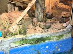 -正佳雨林生态植物园