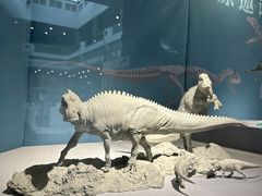 -自贡恐龙博物馆