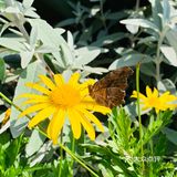 天很蓝，云很白，水很清，你很棒！