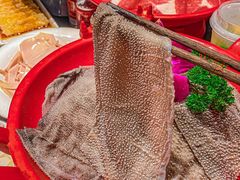 -红鼎坊·老成都火锅(新南门店)