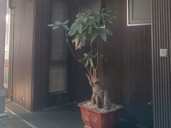 -阿伟海鲜楼·福建菜(涵江店)