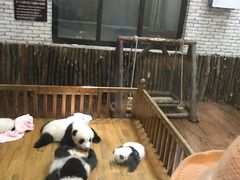 -鲍师傅糕点(春熙路店)