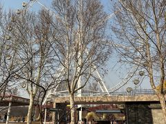 -石家庄市植物园