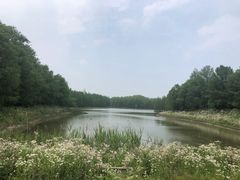 -上海海湾国家森林公园