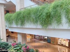 -广州白天鹅宾馆