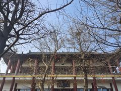 -冶父山国家森林公园