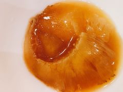 -大中鱼翅 Taitong Shark Fin