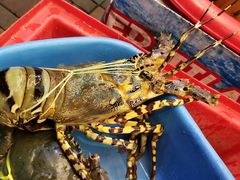 -J Daeng Seafood