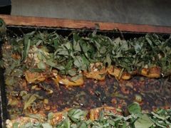 -吞鱼兽麻辣烤鱼(万达店)