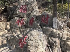 -石老人观光园