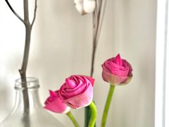 -盒马鲜生(曜一城店)