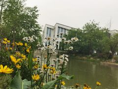 -湘湖金融镇