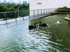 -行者书屋大堂吧 ·下午茶(南京圣和府邸酒店)