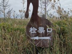 -盐城丹顶鹤湿地生态旅游区