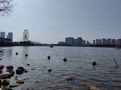 -飞来湖湿地公园
