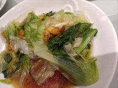 白勺西生菜-春满园·早茶·粤菜·宴会(喜宴店)