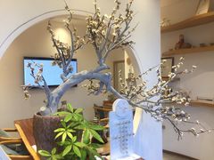 -不凡脑禅境·养生·舒压调理SPA(华发世纪城店)