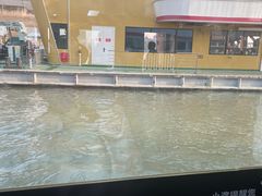 -武汉关码头(轮渡站)