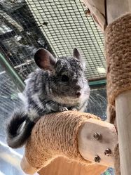 -Zoolung Zoolung动物主题公园(海信广场店)