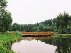 -东郊湿地公园