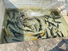 -川成串·自助串串香火锅(朝阳店)
