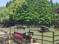 -乌镇东栅景区