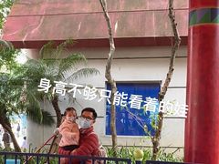 -史努比缤纷世界