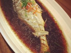 -馬蘭花開(车站大道店)