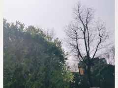 -鹦鹉寺公园