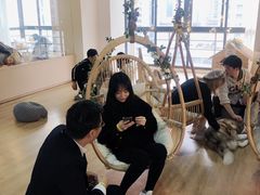 -Husky Go! 哈士奇体验馆·宠物咖啡厅狗咖