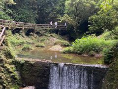 -青城山