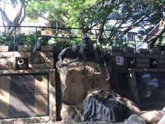 -胡里山炮台
