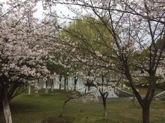 -江南大学(蠡湖校区)