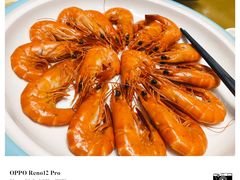 九节虾-东豪园林海鲜酒家(南港路辅路店)