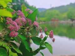 -九如山休闲旅游度假区