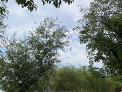 -武昌江滩