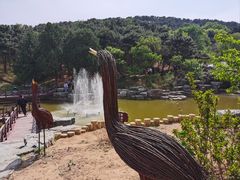 -北京西山国家森林公园