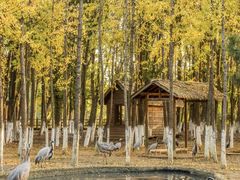 -艾溪湖湿地公园