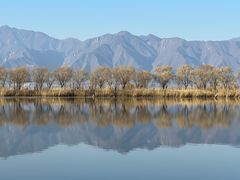 -野鸭湖国家湿地公园