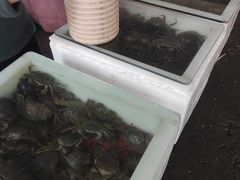 -新农都水产市场