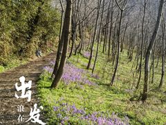 -秦岭风景区