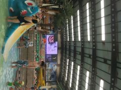 -南宫温泉水世界