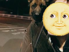 -小叮当动物医院·骨科·眼科