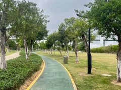 -芒洲湿地公园