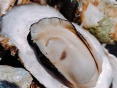 -烧蠔帮·生蚝海鲜牌档(观海店)