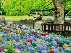 -上海共青森林公园