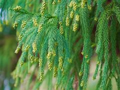 -白塘生态植物园