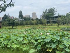 -三圣花乡旅游区